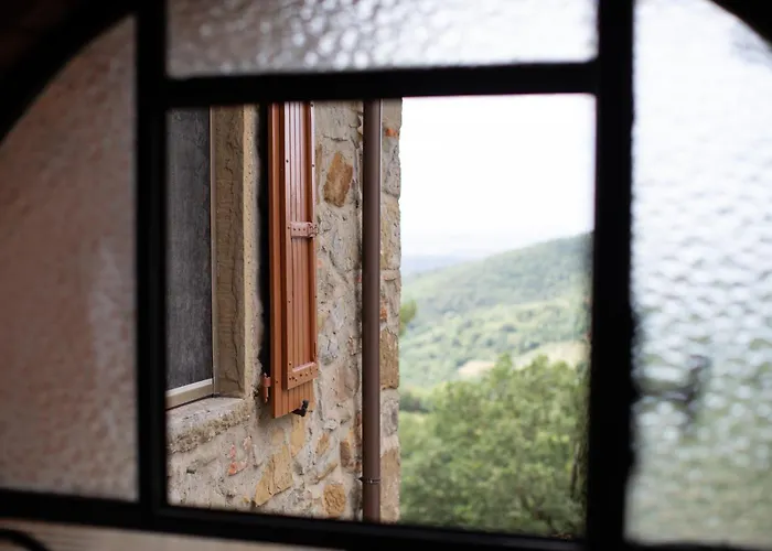 Sentire - Vegetarian Tuscan & * Viciomaggio